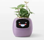 Smart AI Plant Pot Planter