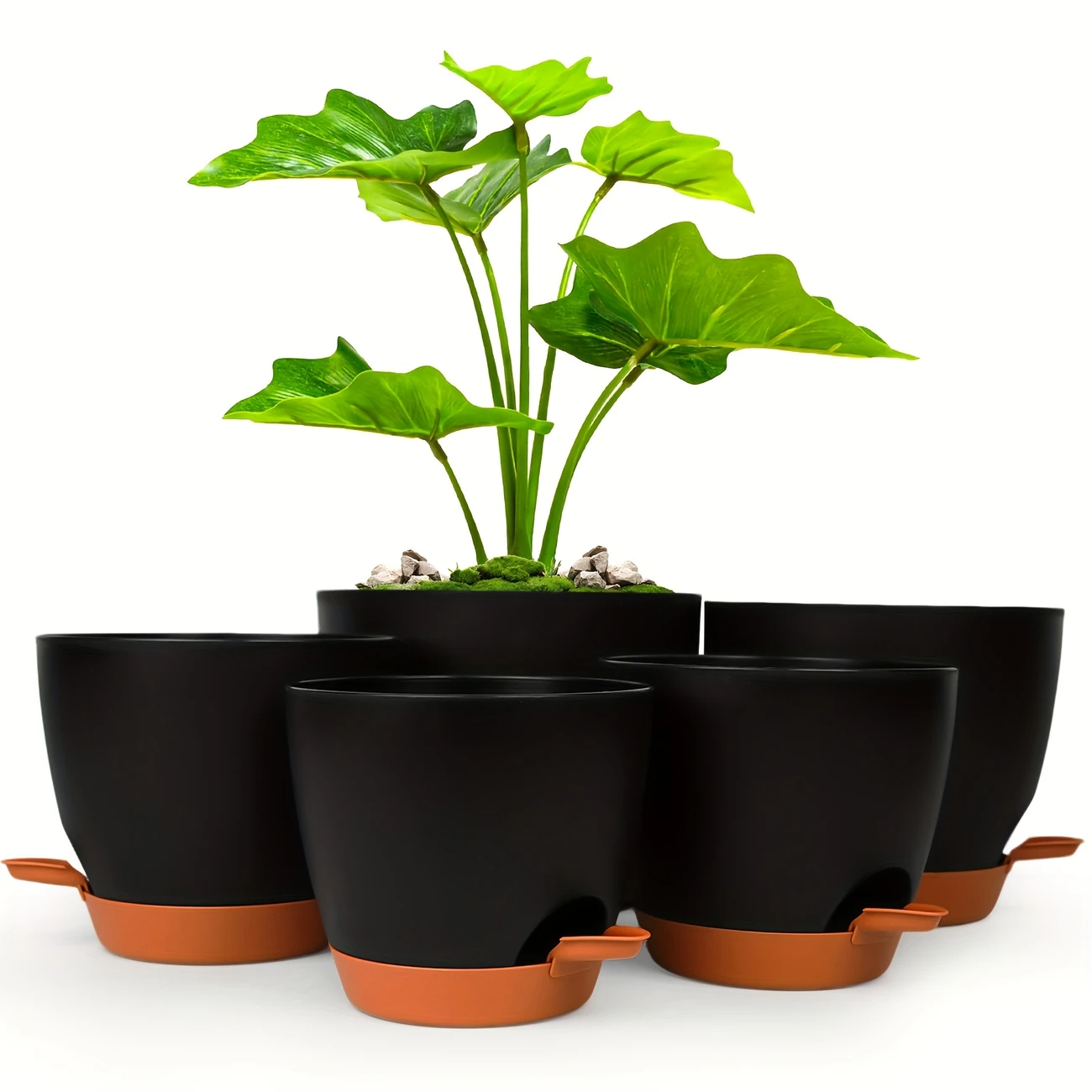 Self Watering Planters