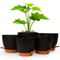 Curved Shape Smart Watering Plant Pots